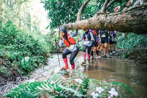 BIB: 
                            <button type="button" onclick="openModal(25475943)" class="btn btn-primary btn-sm float-right btn-popup" data-toggle="modal" data-target=".modal-high-quality">
                        <i class="fas fa-shopping-cart"></i> Add to Cart
                    </button>
                                            <button type="button" onclick="isThisMe(25475943, true)" class="btn btn-success btn-sm float-right btn-popup btn-isme hidden" data-toggle="tooltip" data-placement="bottom" title="นี่คือรูปของคุณใช่ไหม คลิกที่นี่เพื่อเอาเข้าอัลบั้ม">
                        <i class="fas fa-plus"></i> Add to album
                    </button>
                    <button type="button" onclick="isThisMe(25475943, false)" class="btn btn-warning btn-sm float-right btn-popup btn-isnotme hidden">
                        <i class="fas fa-ban"></i> Remove from album
                    </button>